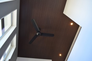 DSC_1067