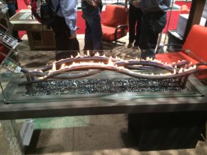 12696736_467798373411015_2143651083_o