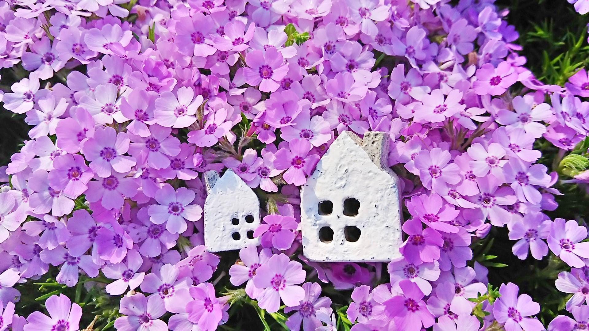 【ご予約制】1/16(土)17(日)[富士店][三島店] 二世帯住宅のおうち創り相談会 ☆応援キャンペーン☆